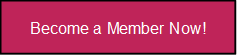 Visit the TVWI Merch Store Now! 